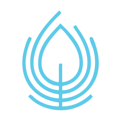 Lila Tee Cration Icon.webp__PID:7eced8ab-39cd-4294-ab17-335181098f73